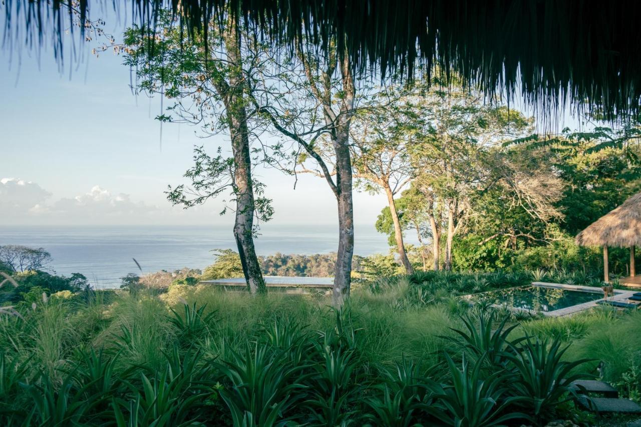 Thea Resort & Retreats - Santa Teresa Playa Santa Teresa  Екстериор снимка