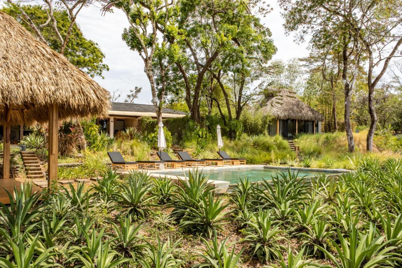 Thea Resort & Retreats - Santa Teresa Playa Santa Teresa  Екстериор снимка